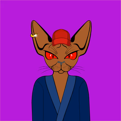 Toronto Sphynx Cats V2
