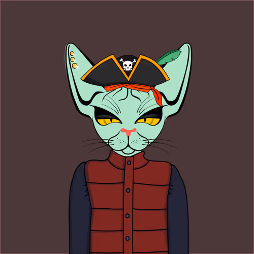 Toronto Sphynx Cats V2