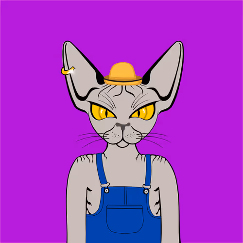 Toronto Sphynx Cats V2