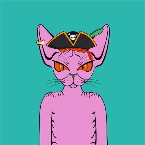 Toronto Sphynx Cats V2
