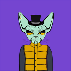 Toronto Sphynx Cats #164
