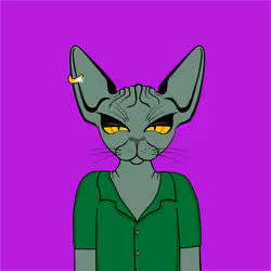Toronto Sphynx Cats #362