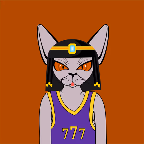 Toronto Sphynx Cats V2