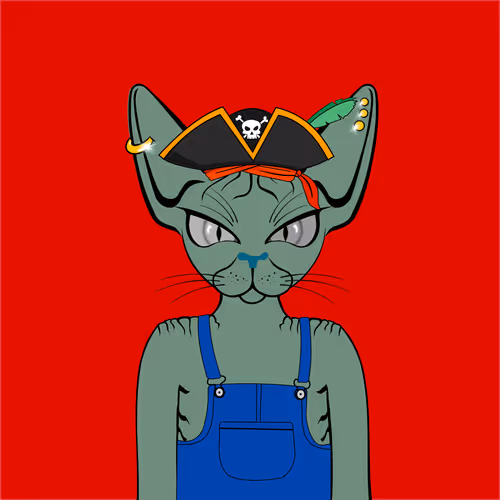 Toronto Sphynx Cats V2