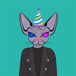 Toronto Sphynx Cats #42