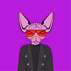 Toronto Sphynx Cats #392
