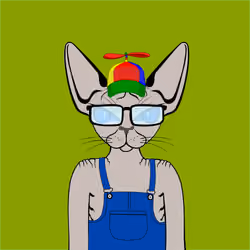 Toronto Sphynx Cats #111