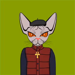 Toronto Sphynx Cats #112