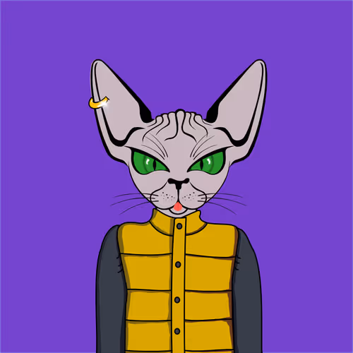 Toronto Sphynx Cats V2
