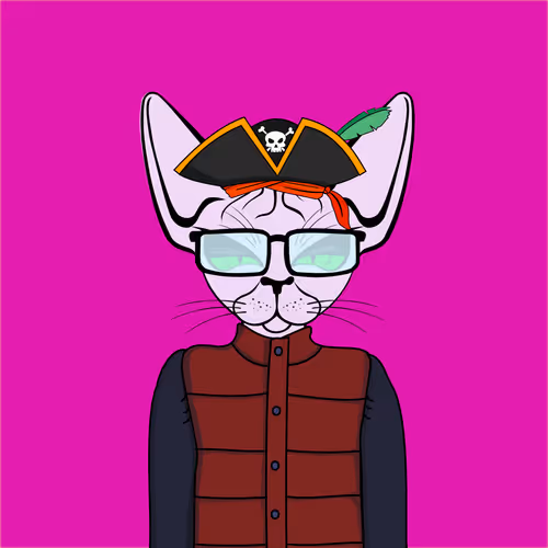 Toronto Sphynx Cats V2