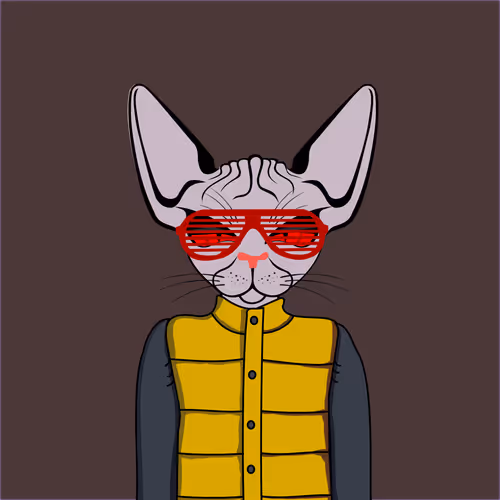 Toronto Sphynx Cats V2