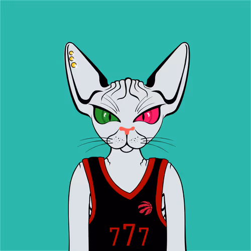 Toronto Sphynx Cats V2