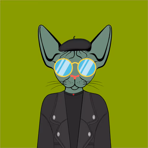 Toronto Sphynx Cats V2