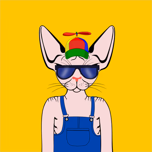 Toronto Sphynx Cats V2
