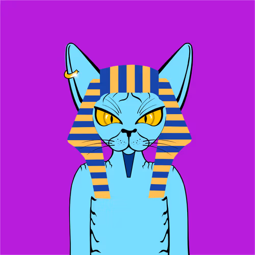 Toronto Sphynx Cats V2