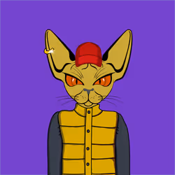 Toronto Sphynx Cats #212