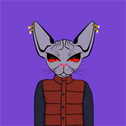 Toronto Sphynx Cats #419