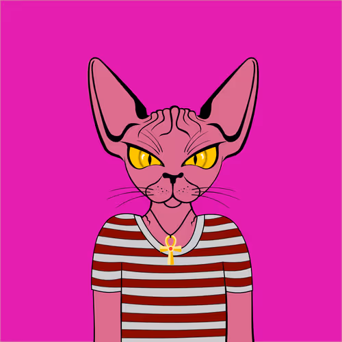 Toronto Sphynx Cats V2