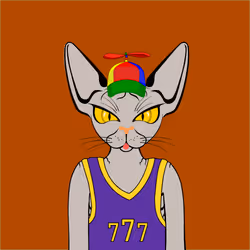 Toronto Sphynx Cats #736
