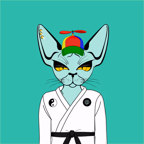 Toronto Sphynx Cats V2