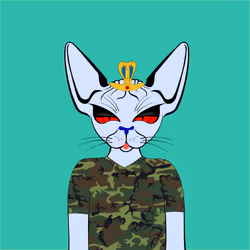 Toronto Sphynx Cats #607