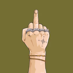 FVCK #2420