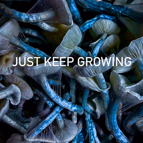 just keep groeing