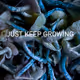 just keep groeing
