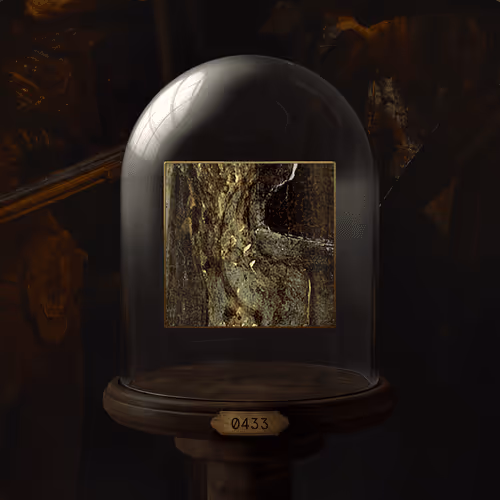 The Night Watch Nft Collection
