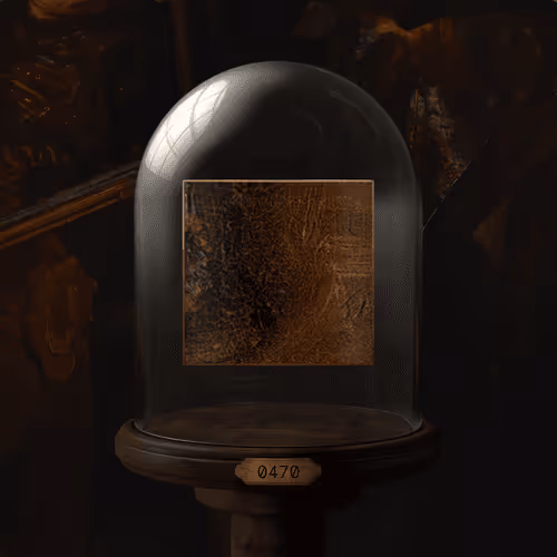 The Night Watch Nft Collection