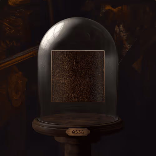 Item #538 Media