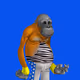 2425