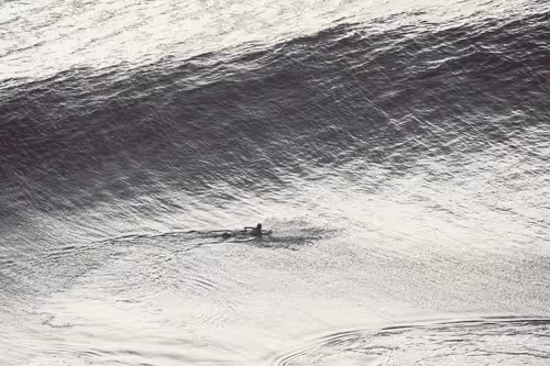 100 Days Of Surfing
