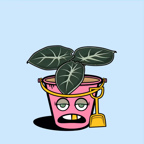 Plant Parade Main Collection