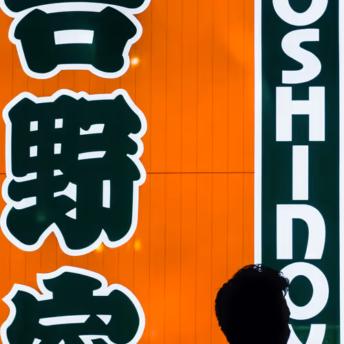 Lost In Japanese V2