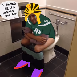 Toilet Vees  #527