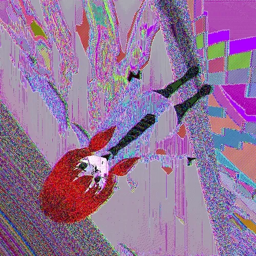 Zofi Augore Nerves