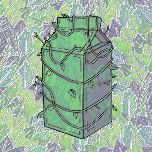 The Carton