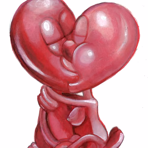 CONJOINED HEART