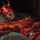 RED Never Sleeps