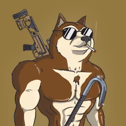Doge Army #9452