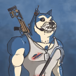 Doge Army #700