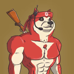 Doge Army #2589