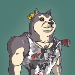Doge Army #3672