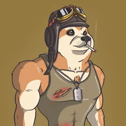 Doge Army #1912