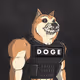 7767