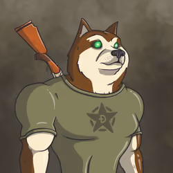 Doge Army #3082