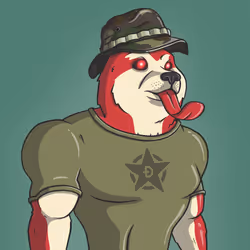 Doge Army #9827