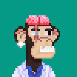 4981676894159712808201908443964193325271219637660871887967796223887395520513