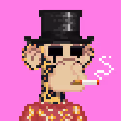 4981676894159712808201908443964193325271219637660871887967796308549790859265